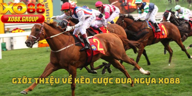 Giới thiệu về kèo cược đua ngựa XO88