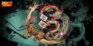 Rồng Hổ XO88