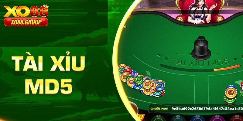 Tài Xỉu MD5 XO88 kiểm tra kết quả rất đơn giản
